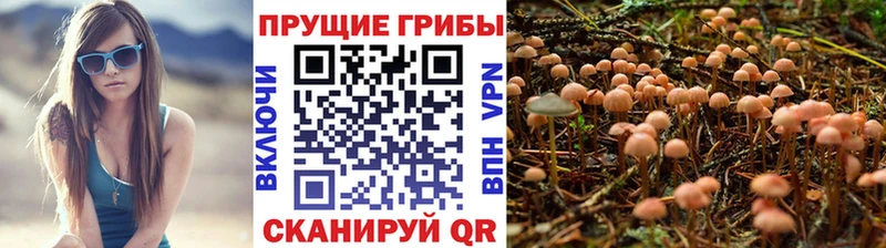 Псилоцибиновые грибы Psilocybine cubensis Снежинск
